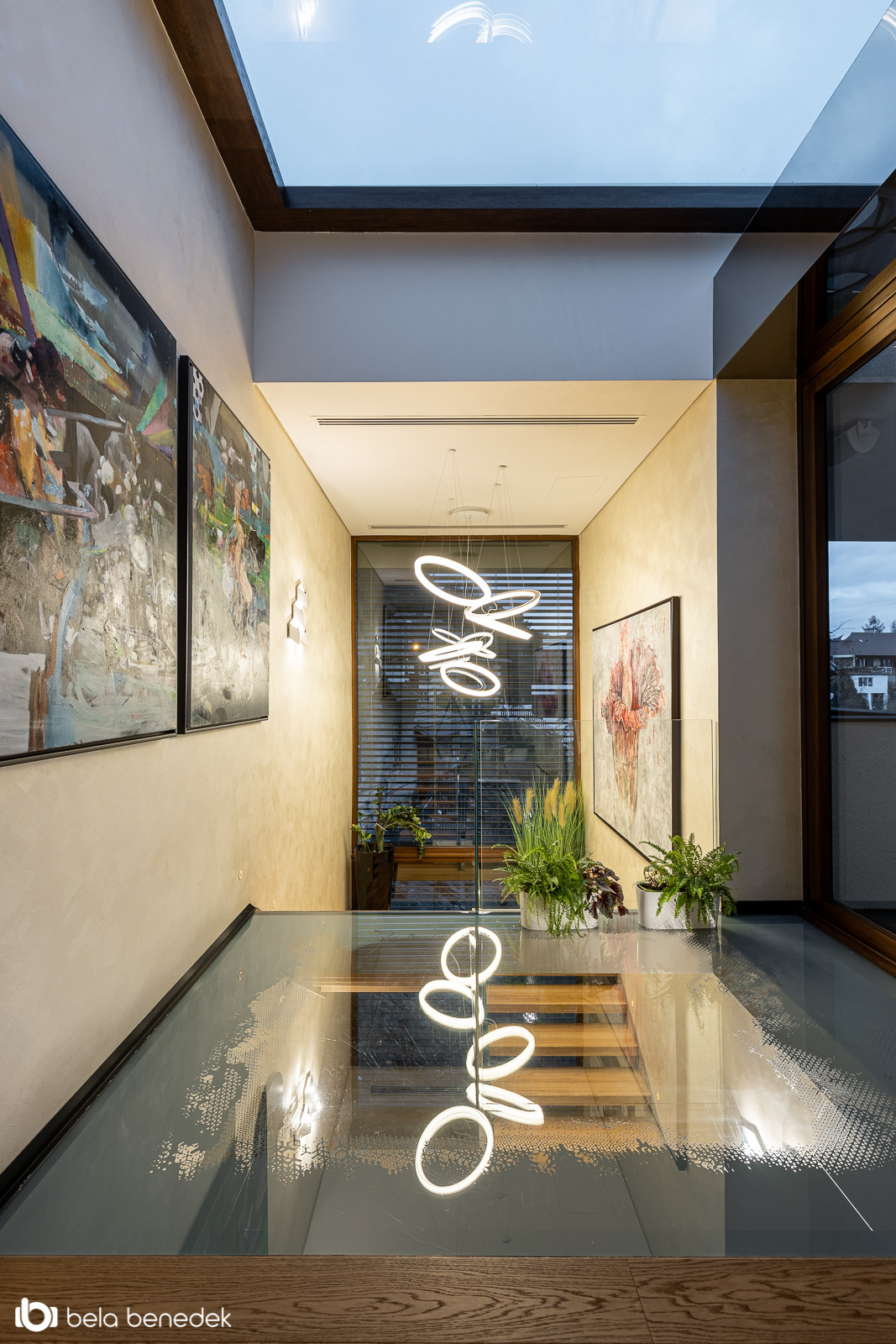 Stefan Vlad丨别墅建筑丨House X-17