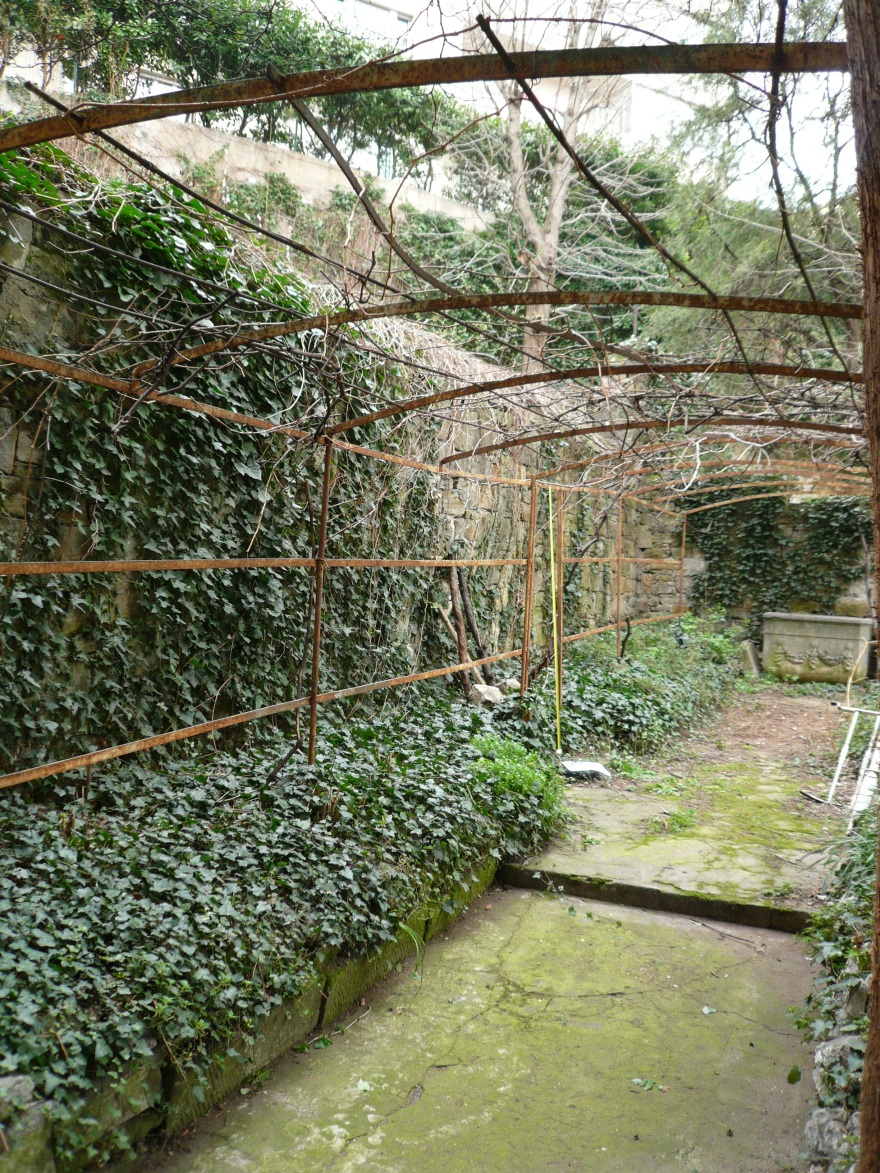 树影婆娑的城市绿洲——Casa S.别墅设计-3