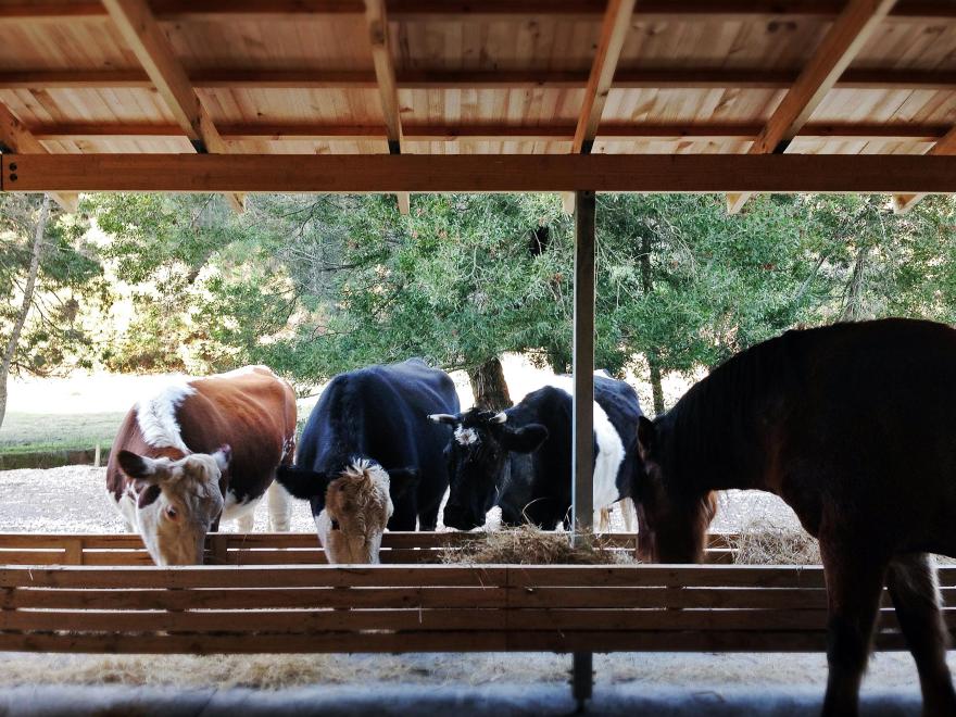 智能农舍 | 模块化设计与环保材料应用-7