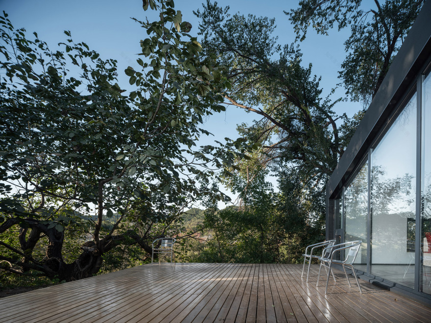 树下院 | 现代语境下的原汁原味-43