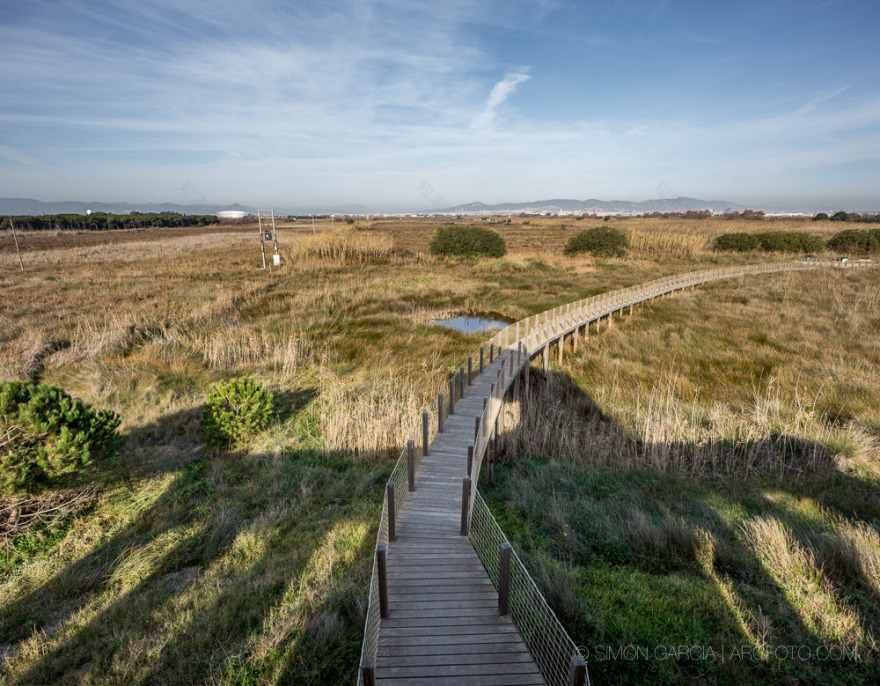 浪漫废墟变身观鸟台——'El Semáforo'别墅改造-33