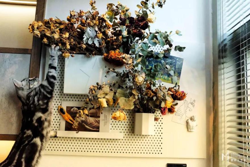 M空间设计工作室-81