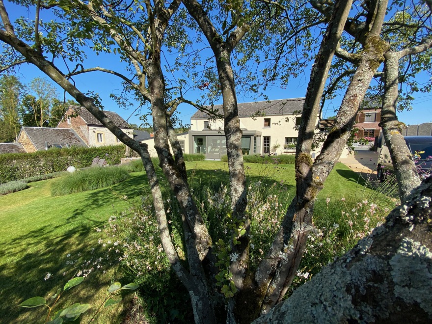 翻新斜坡场地,打造梦幻果园景致-2