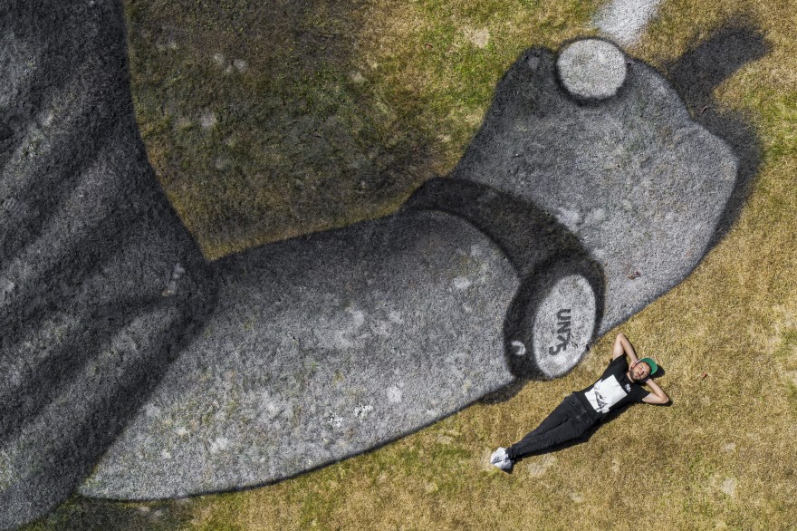 联合国总部瑞士 Geneva 惊现巨画"World in Progress"-4