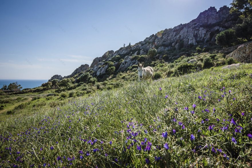 风之庇护的小石屋-12