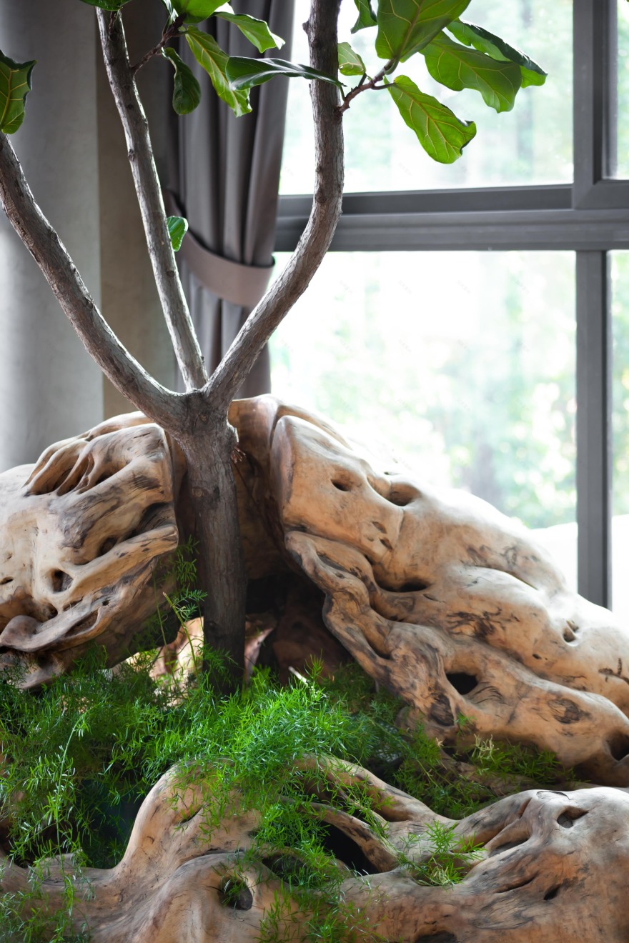 墨西哥 Casa Espejo Verde 垂直花园丨Daniel Gómez Bilbao-10