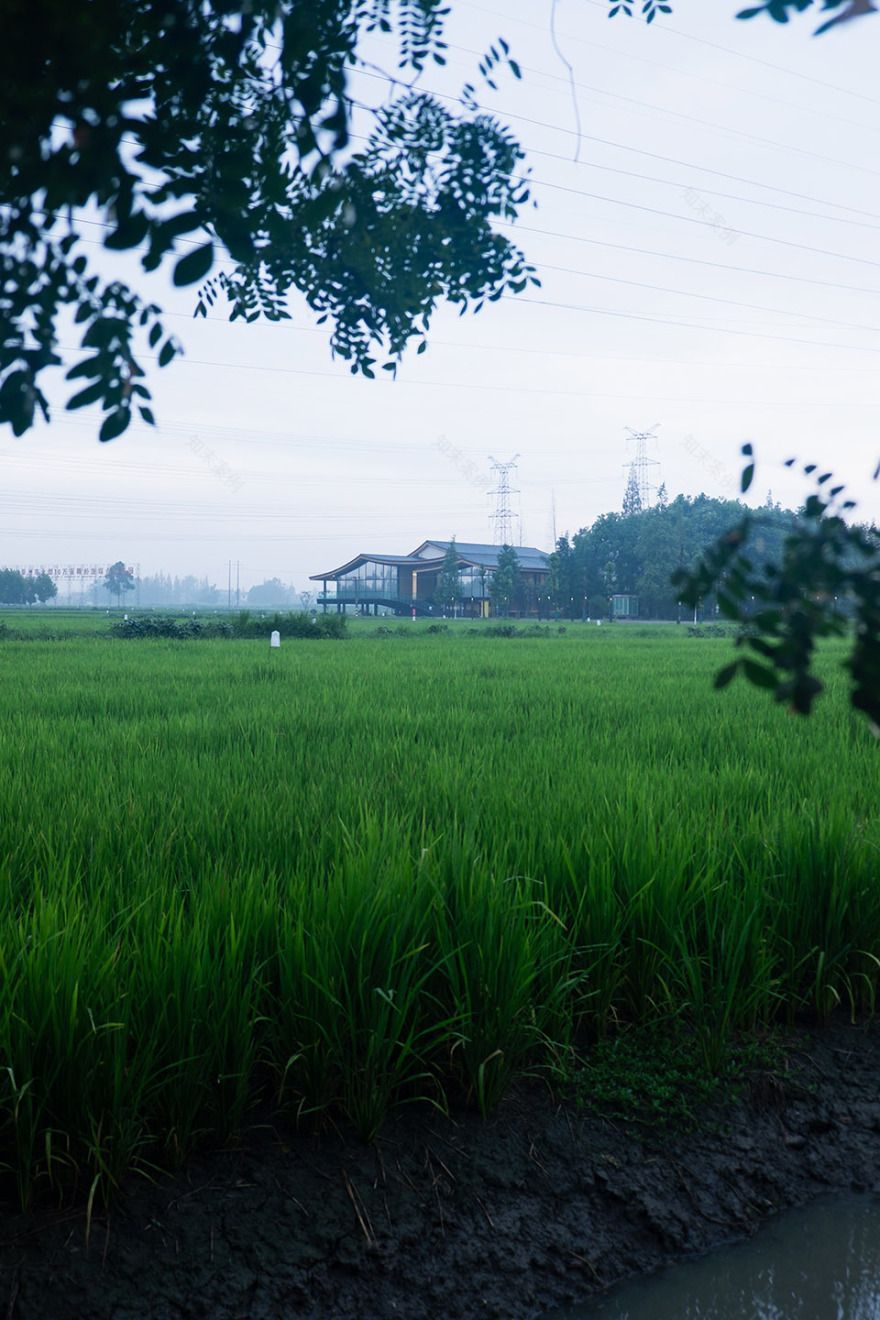 四川锦江新华村粮油展示中心丨中国四川丨小隐建筑事务所-2