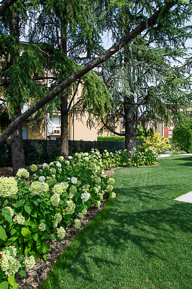 Villa C· 庭院设计丨意大利丨Vivaio Dordoni-9