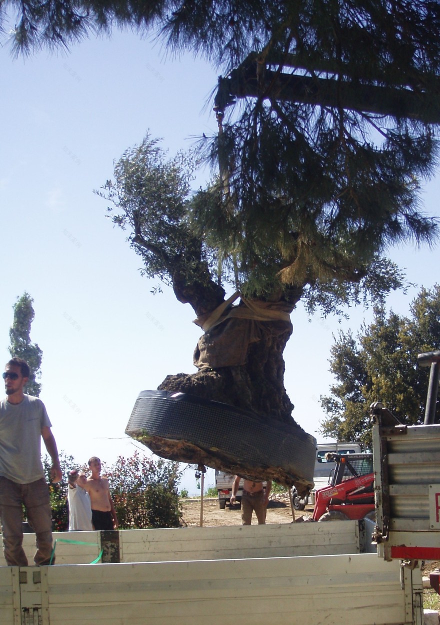 悬崖之上的地中海花园-21