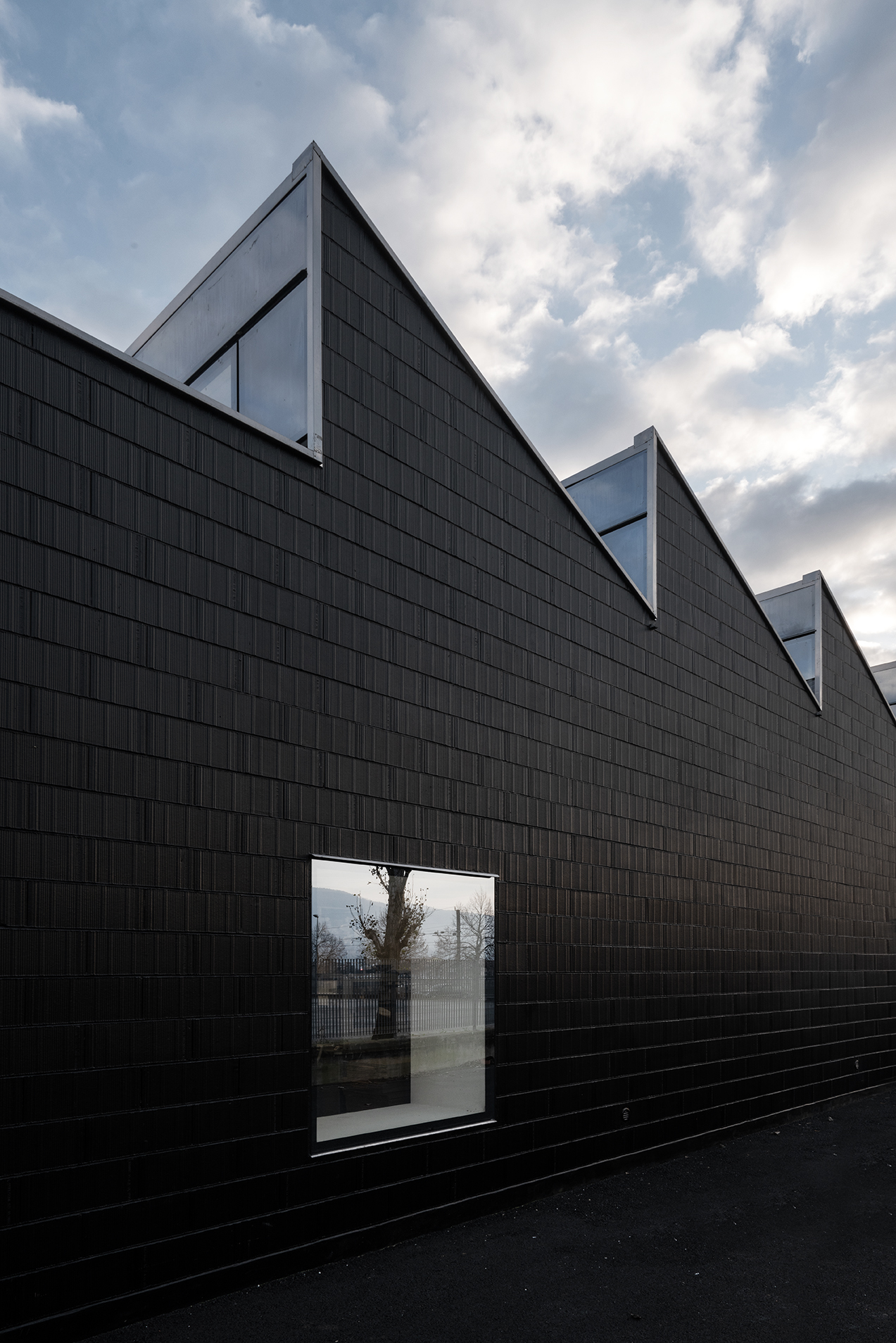 绿色纤维玻璃外墙,打造温馨包容的康复中心-7