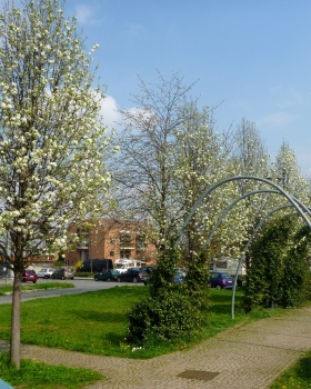 Marco Minari丨公园｜Giardino e attrezzature sportive, via Servais