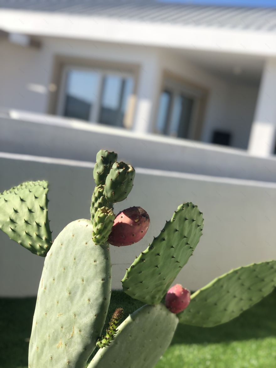 意大利海滨别墅的现代魅力-41