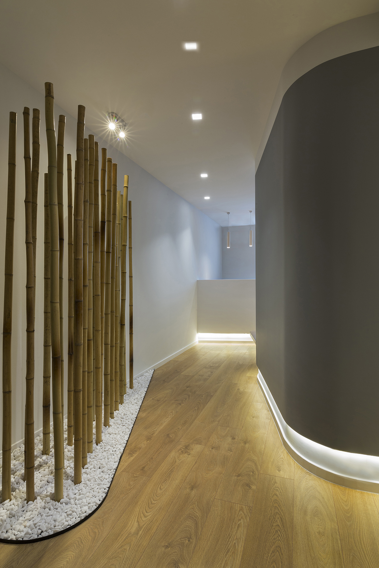 S 形元素分隔功能,60 平米骨科诊所的高效设计-0