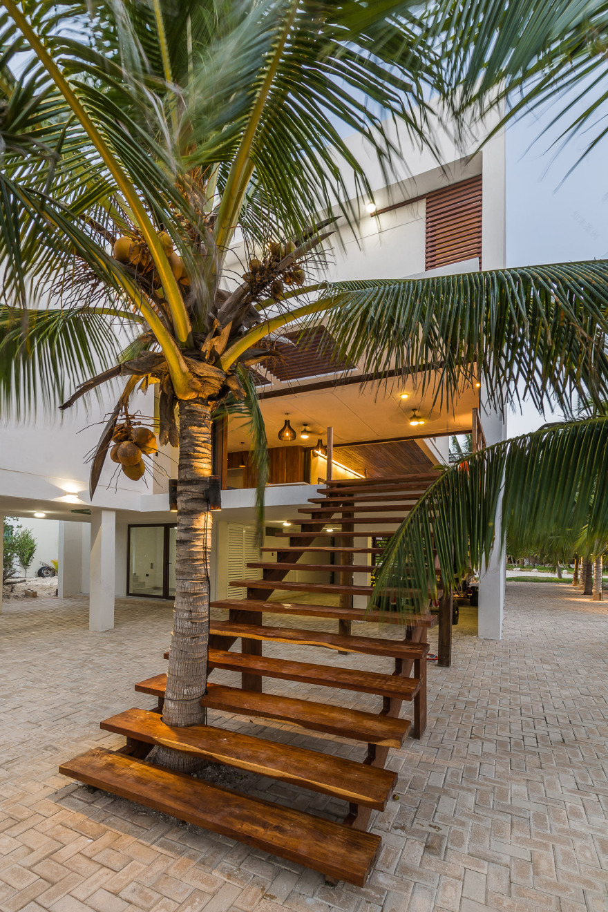 墨西哥海滨别墅 · 绿色与空间的完美融合-8