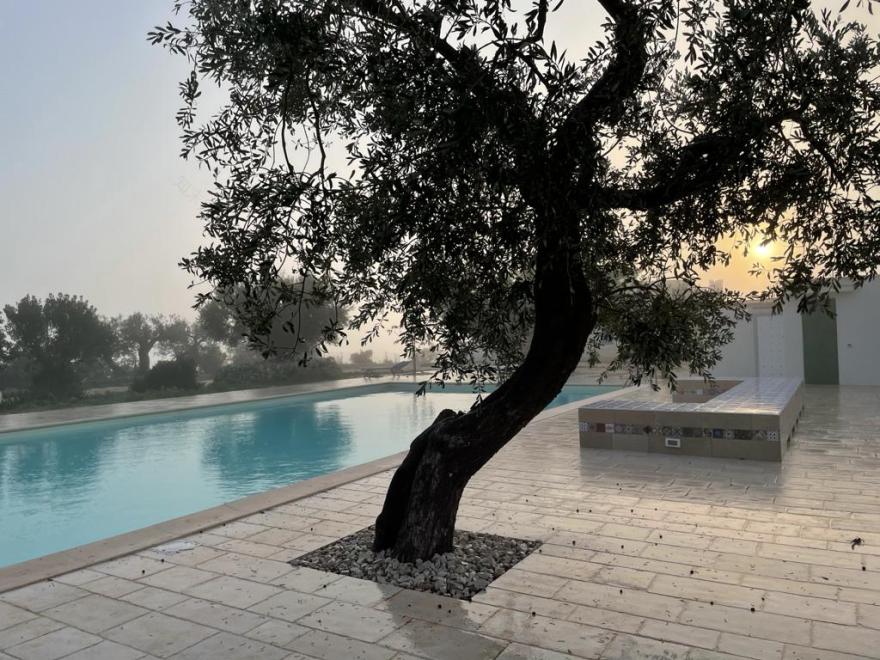 古堡庄园的现代复兴-44