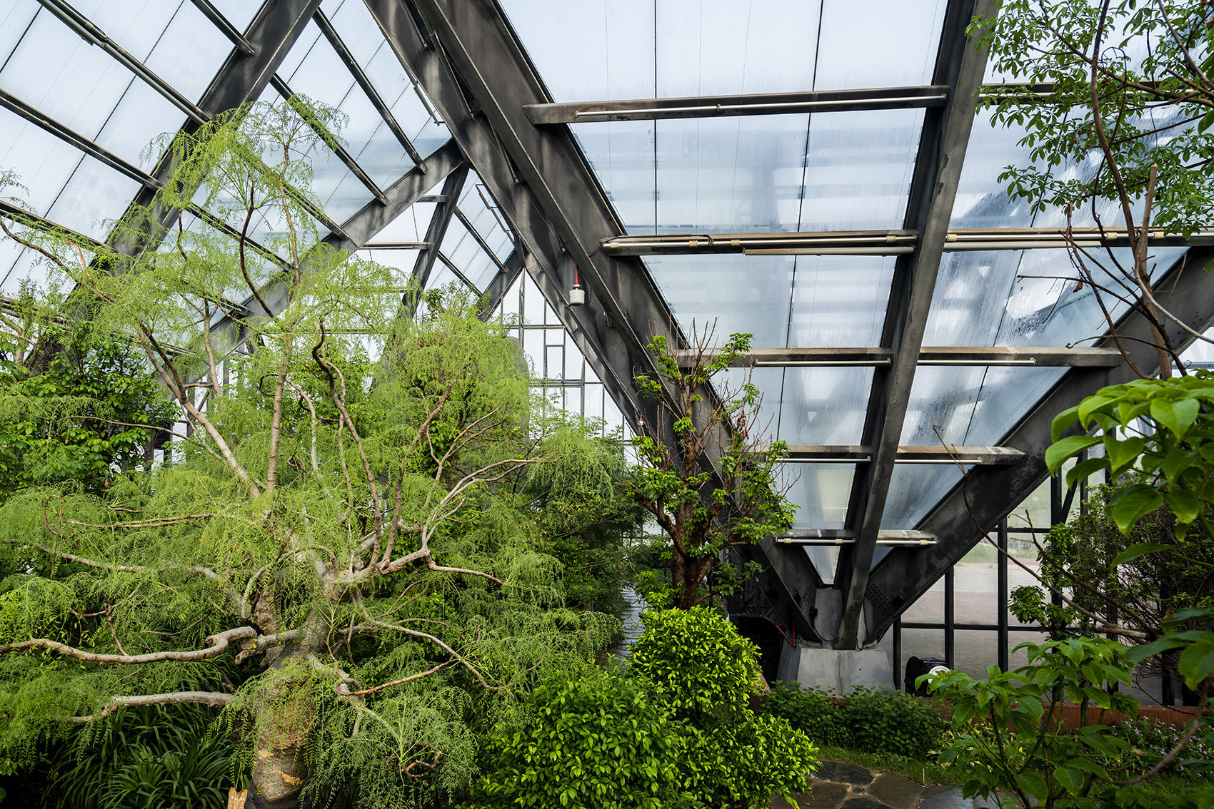 衡水植物园温室展览馆丨中国河北丨空格建筑-73