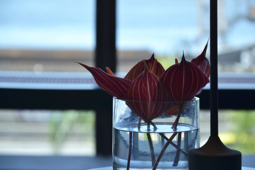 里约科萨 2017-25