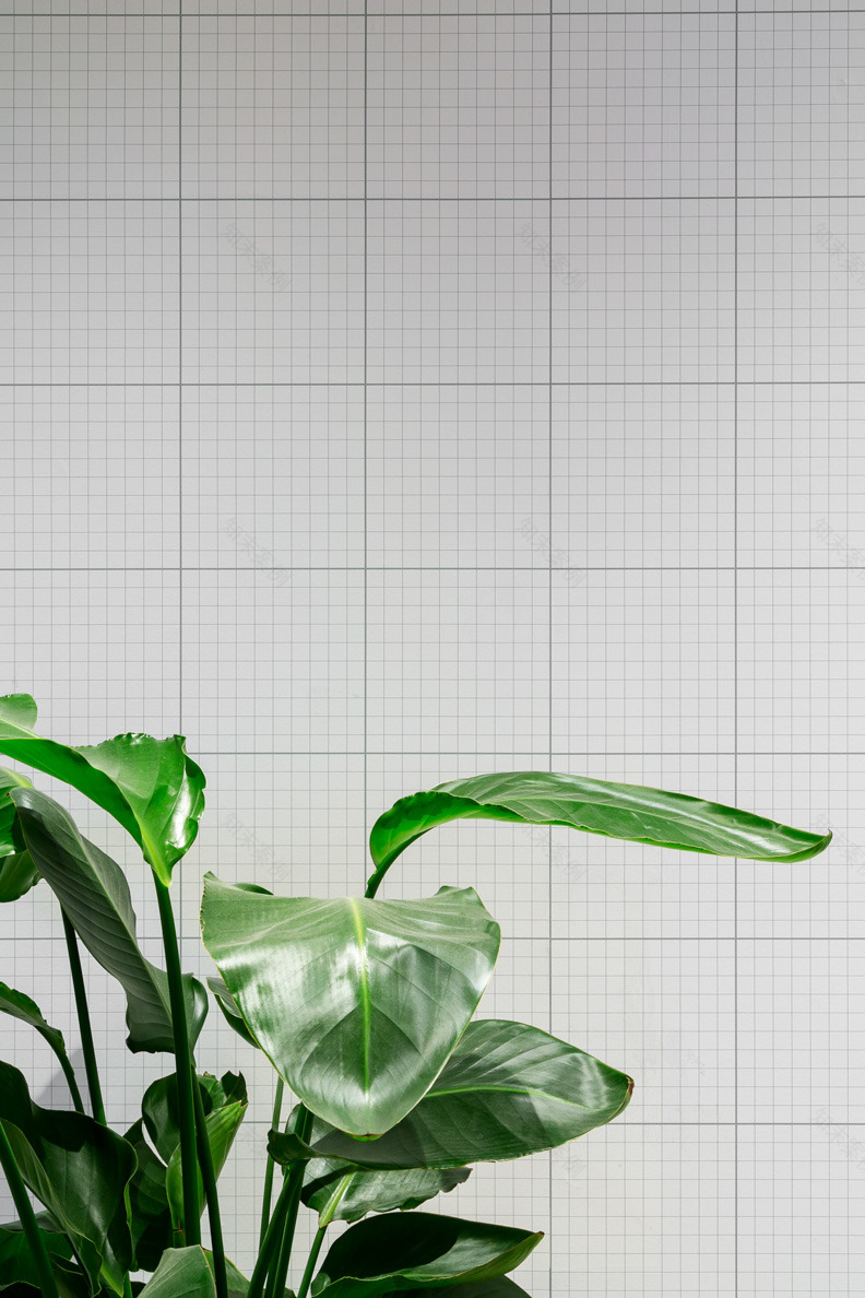 Collegio San Carlo 咖啡厅-9