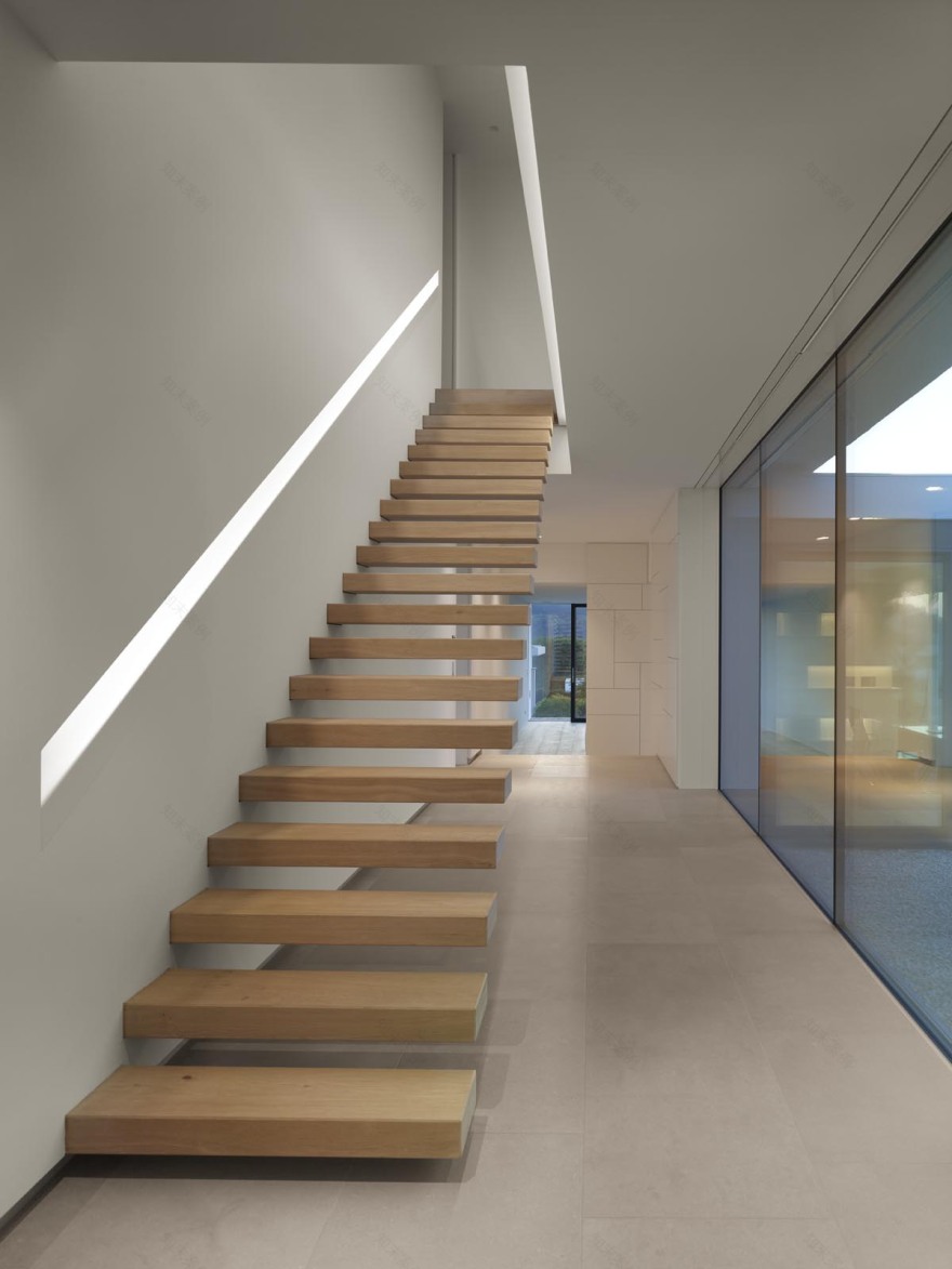 弗兰肯别墅的简约美学与精致景观-5