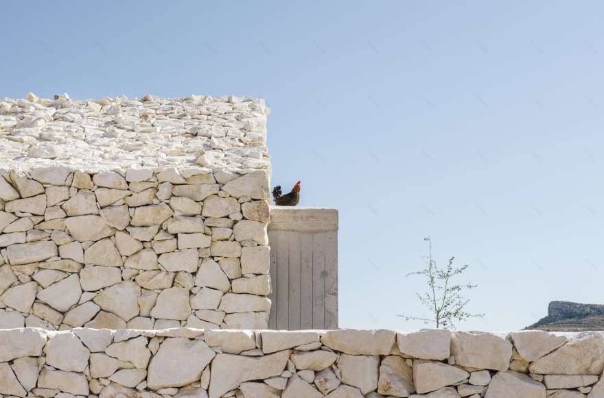 乡村别墅的生态与景观对话 | Casa Calixto-10