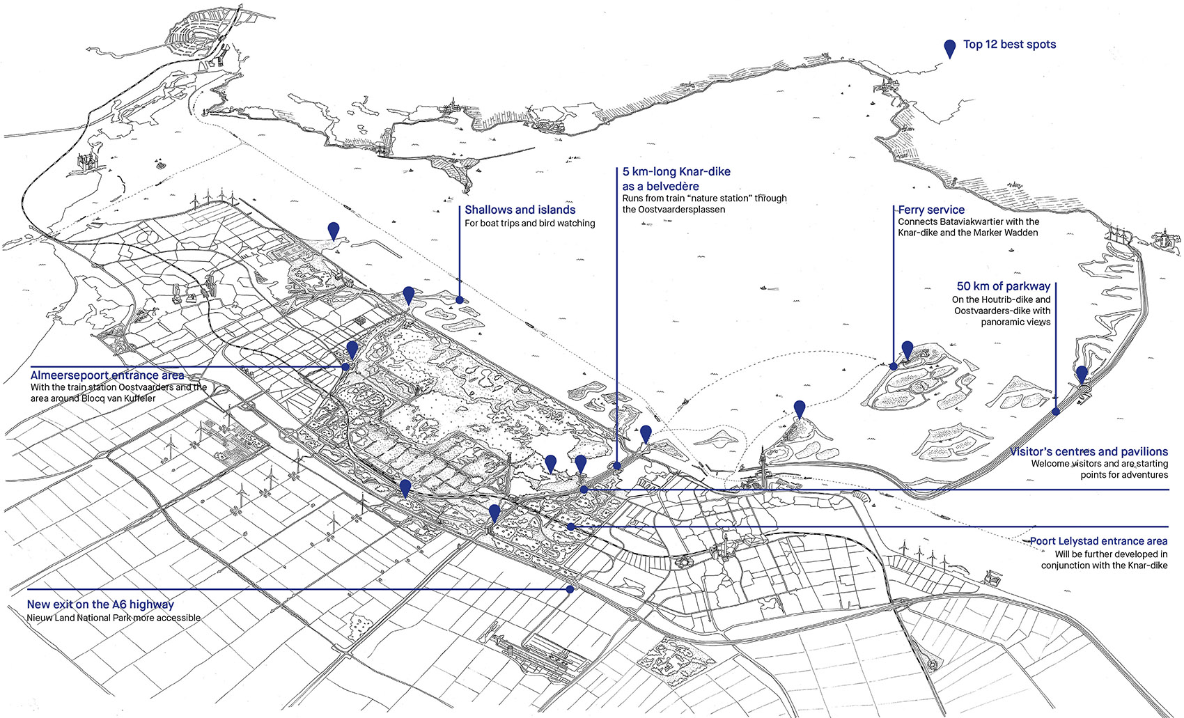 Nieuw Land国家公园，荷兰/强大的生态系统，鸟类的栖息地-12