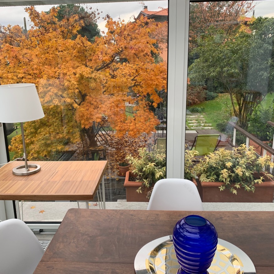 意大利湖畔私人庭院景观设计-17