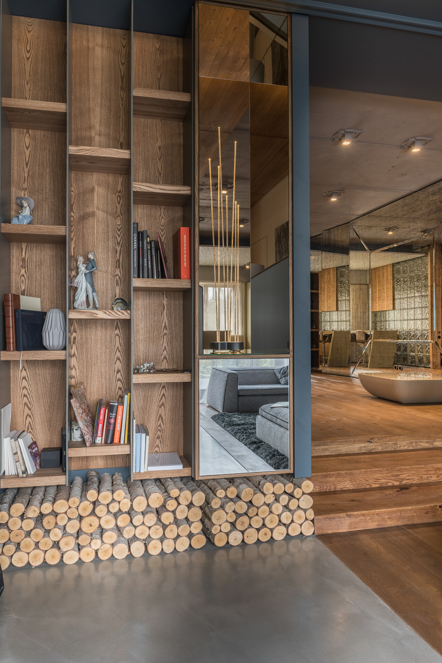 乌克兰公园区的 2000 年代联排别墅重建-23