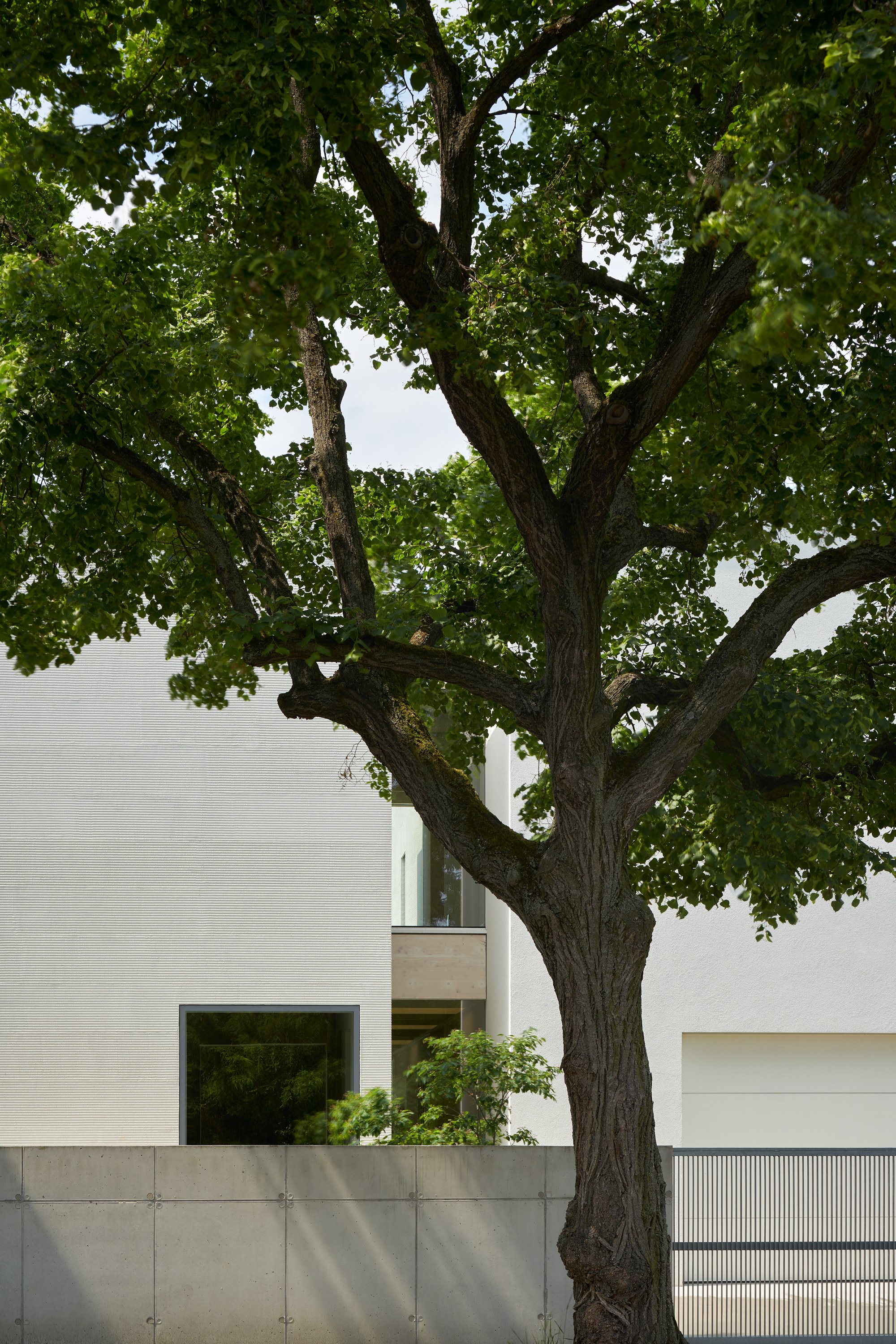 Lhotka 住宅丨SOA architekti,Richter Design-6