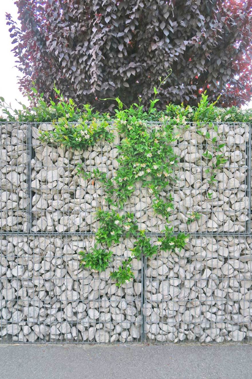 金属笼子打造独特企业围栏-9