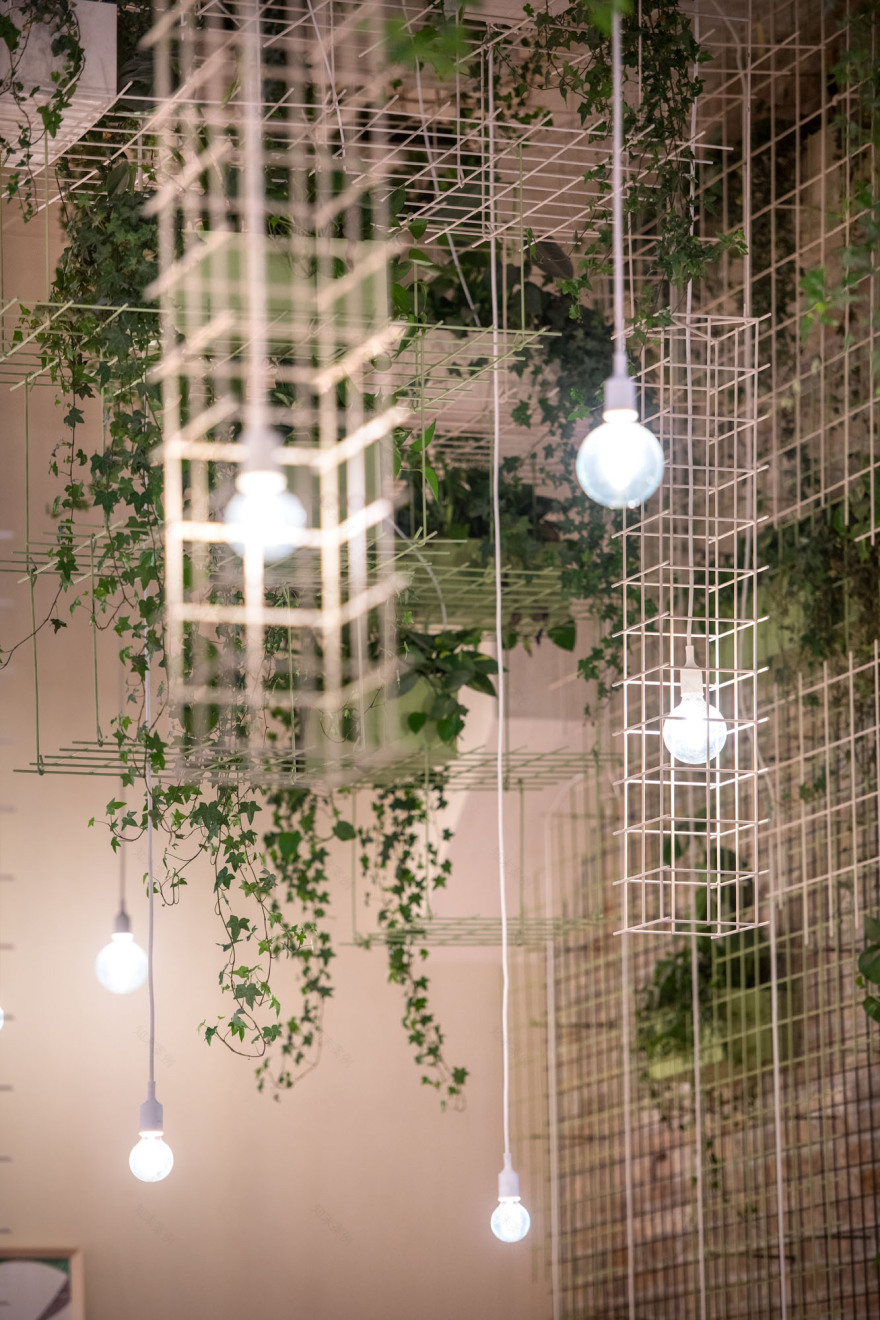 自然灵感餐厅“Bob - Bio’s Kitchen”-9