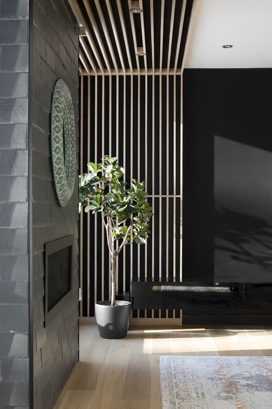 森林中的现代家园-20