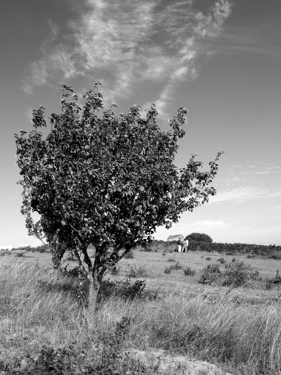 QUINTA DOS MENEZES | RESIDÊNCIA SÉNIOR-3