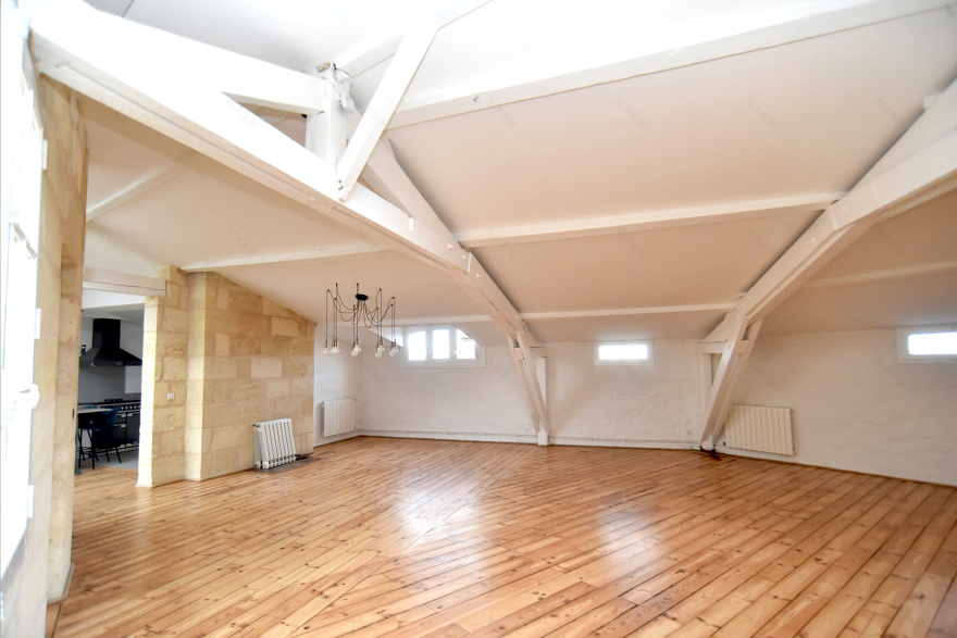 波尔多中心地带的简约自然公寓-1