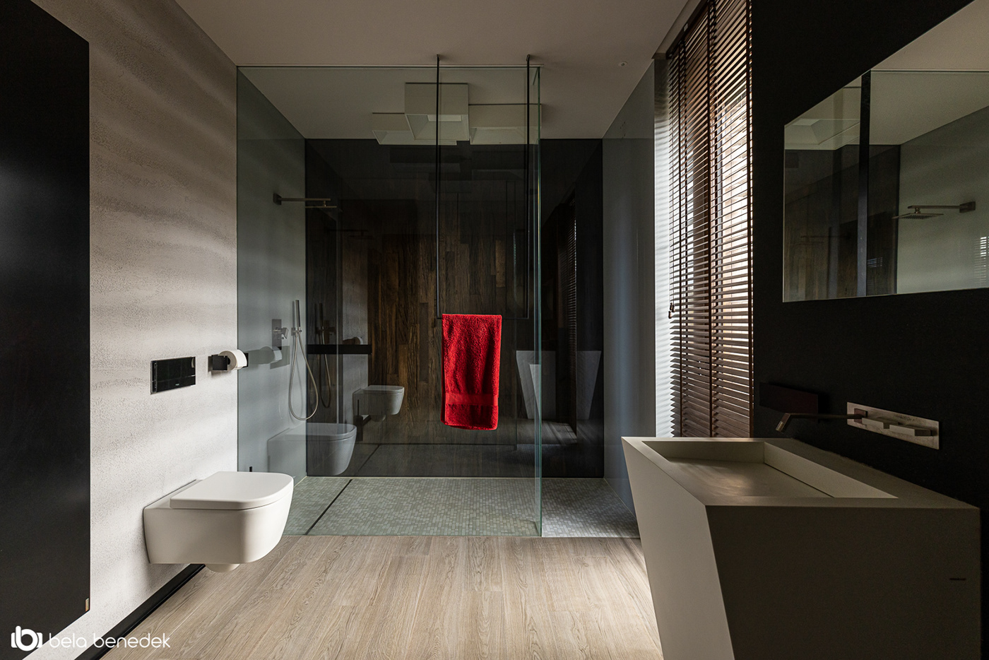 Stefan Vlad丨别墅建筑丨House X-59