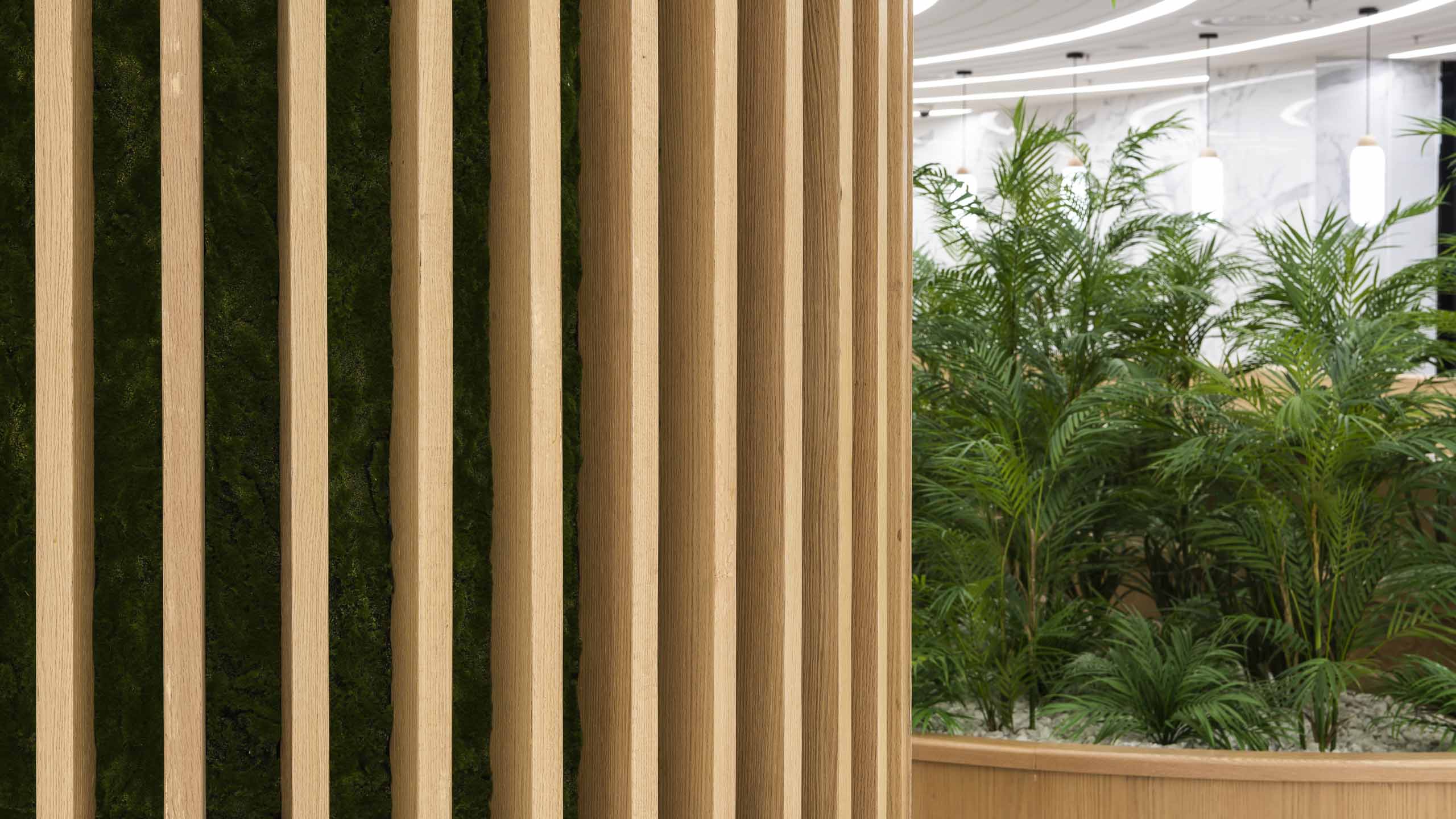 扎伊迪购物中心-5