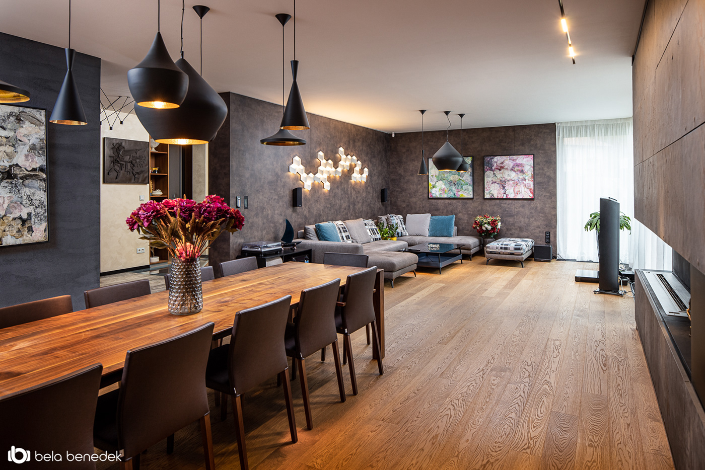 Stefan Vlad丨别墅建筑丨House X-38