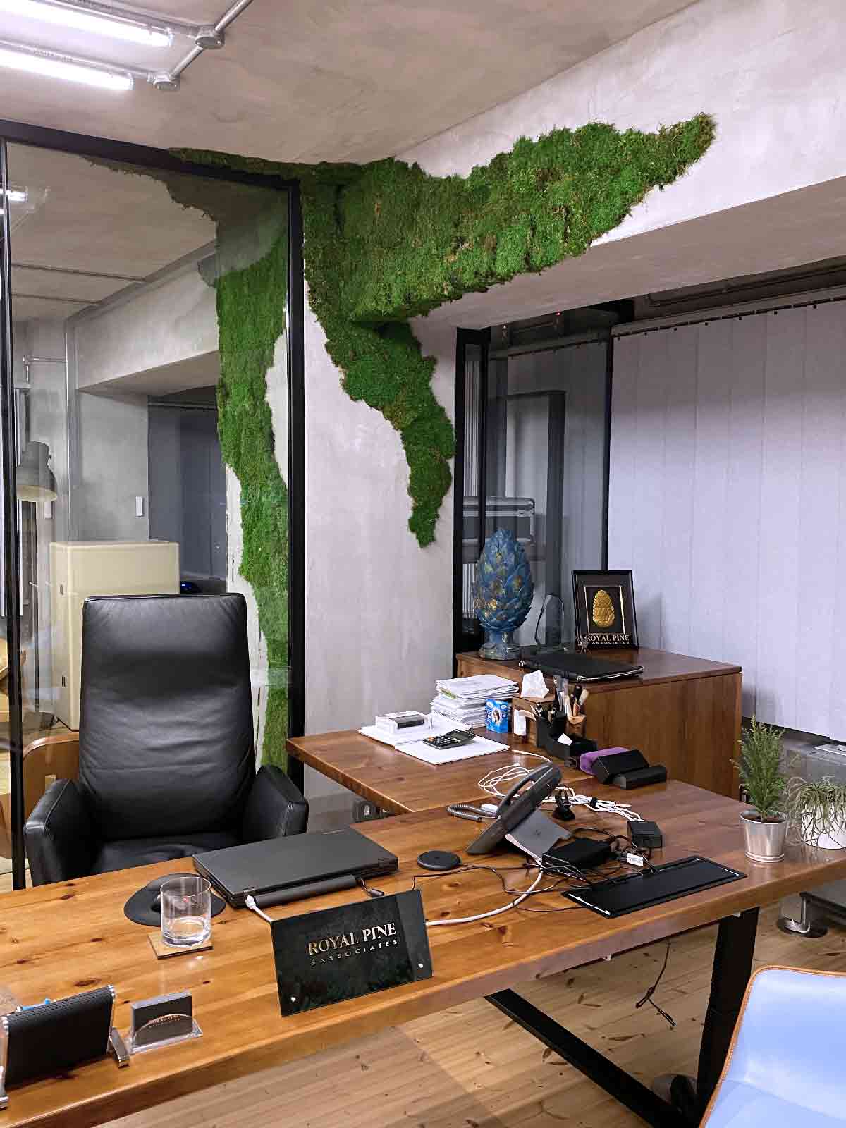 皇家松树与垂直花园的绿色办公空间-10