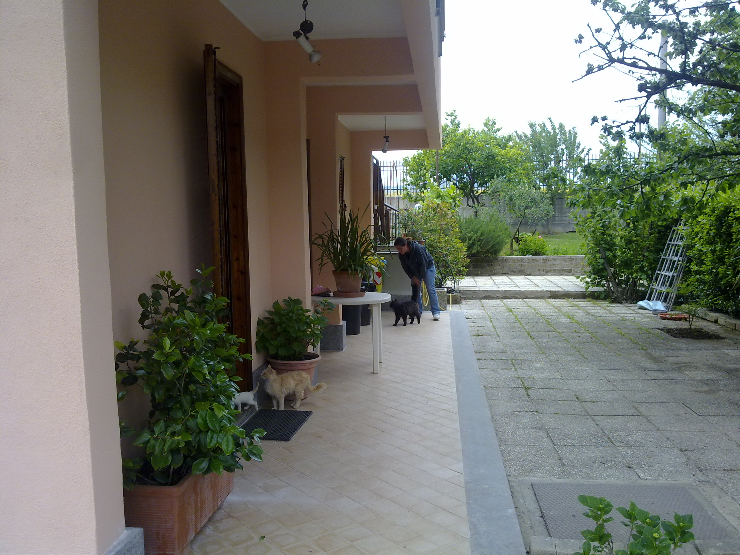 1974 年家庭住宅扩建项目-38