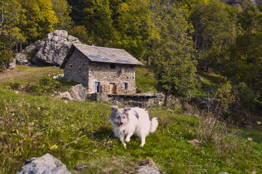 意大利乡间“栎树小屋”的现代改造丨Studioata-15