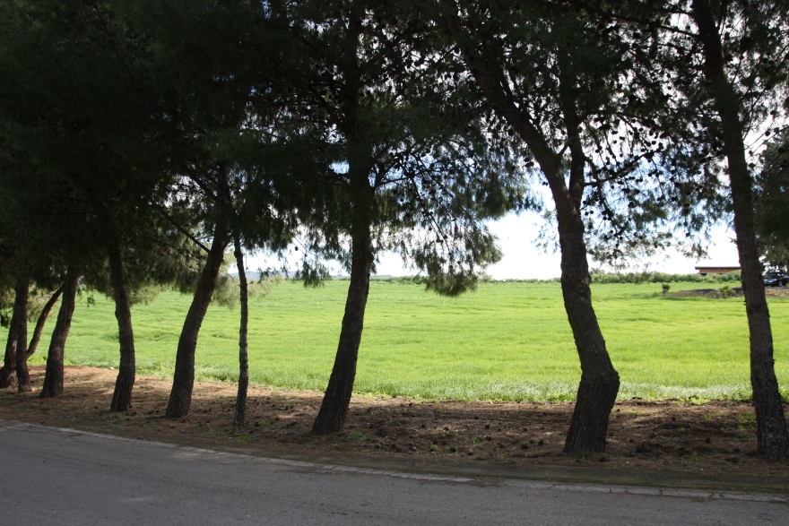 肉制品加工厂的现代设计-1