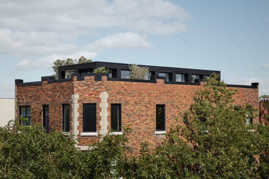 蒙特利尔 Alma 住宅丨加拿大蒙特利尔丨Atelier Barda-3