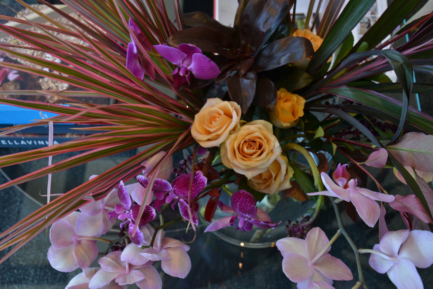 里约科萨 2017-32