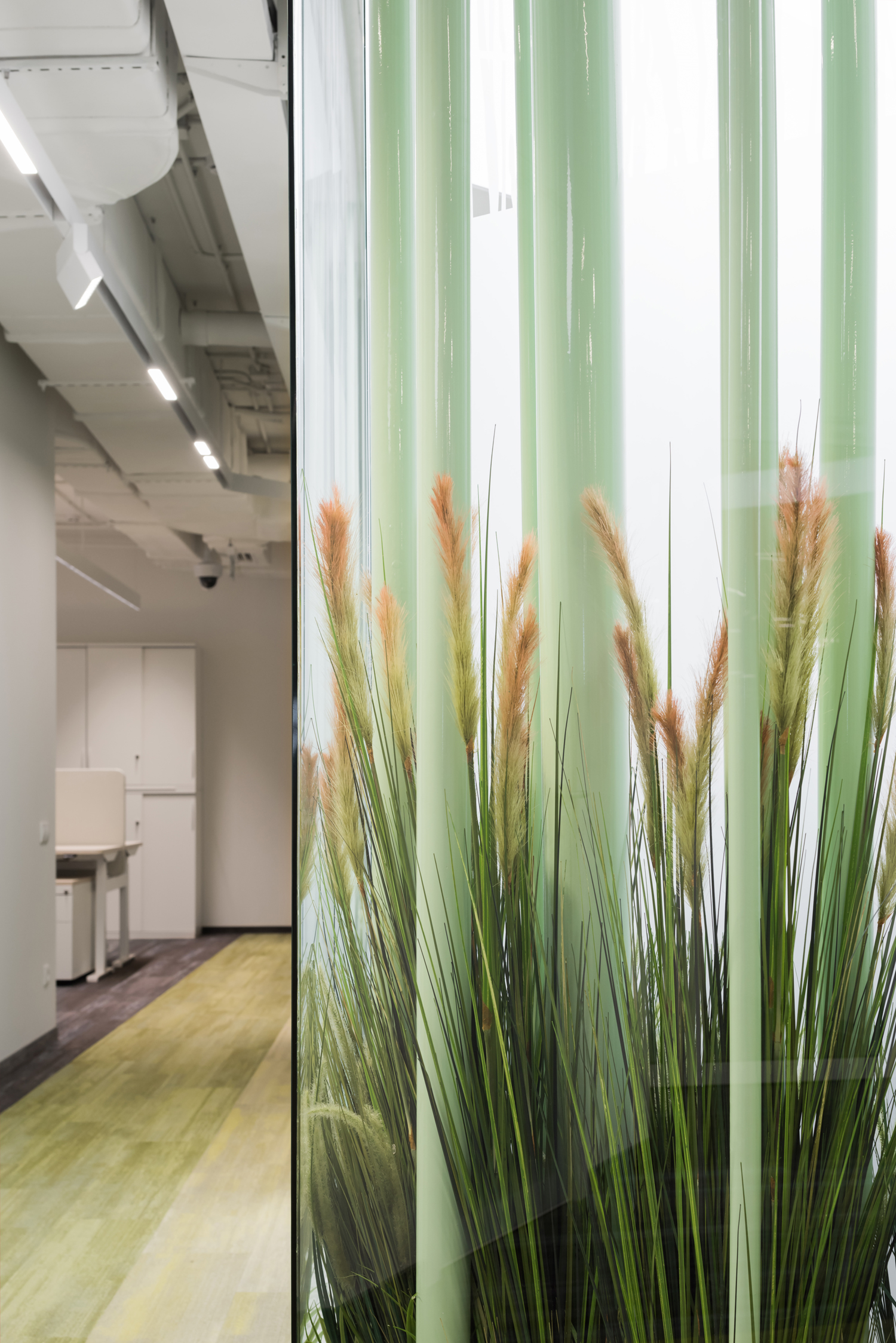 Cargill 莫斯科办公室-5