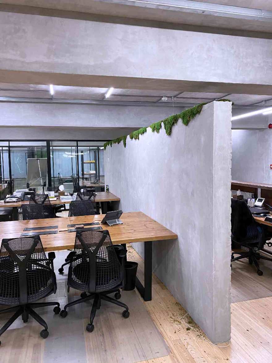 皇家松树与垂直花园的绿色办公空间-20