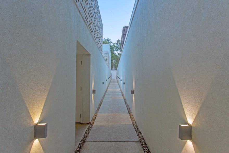 SPS 办公空间 | 城市密境中的绿意探索-14