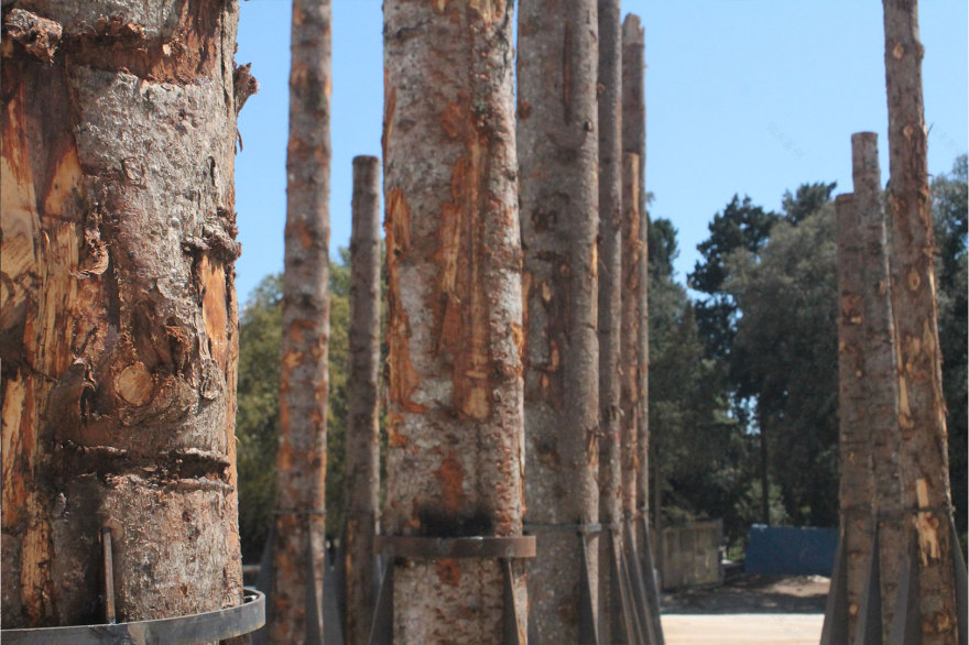 风之殇 · 死林的舞台艺术-4