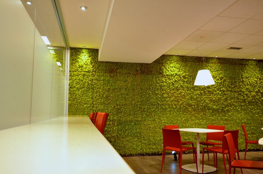 CETOC 办公室 · 绿色与红色的活力空间-6