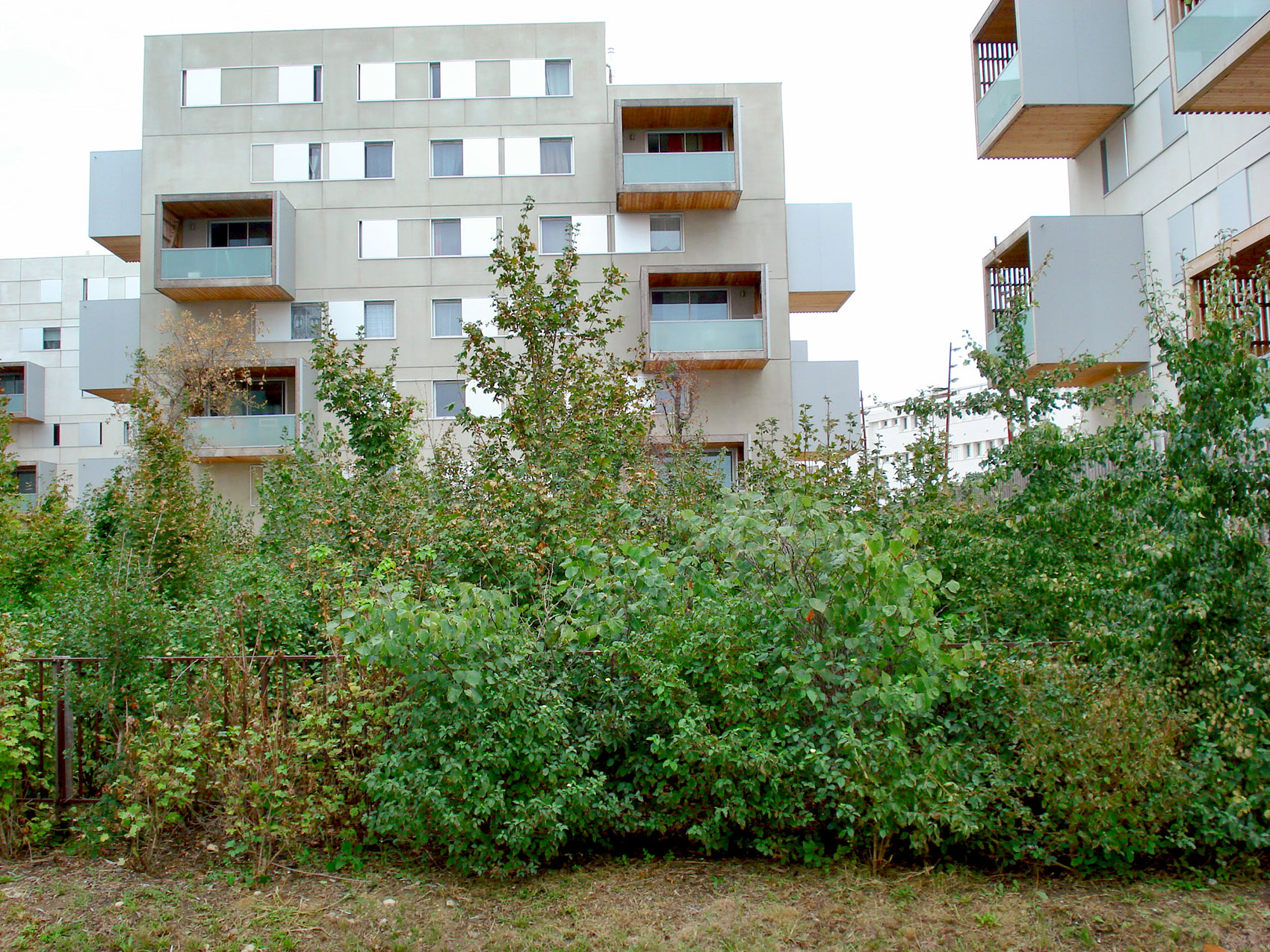 Square Maïmat住宅区更新，法国/释放公共空间，连接社区居民-77