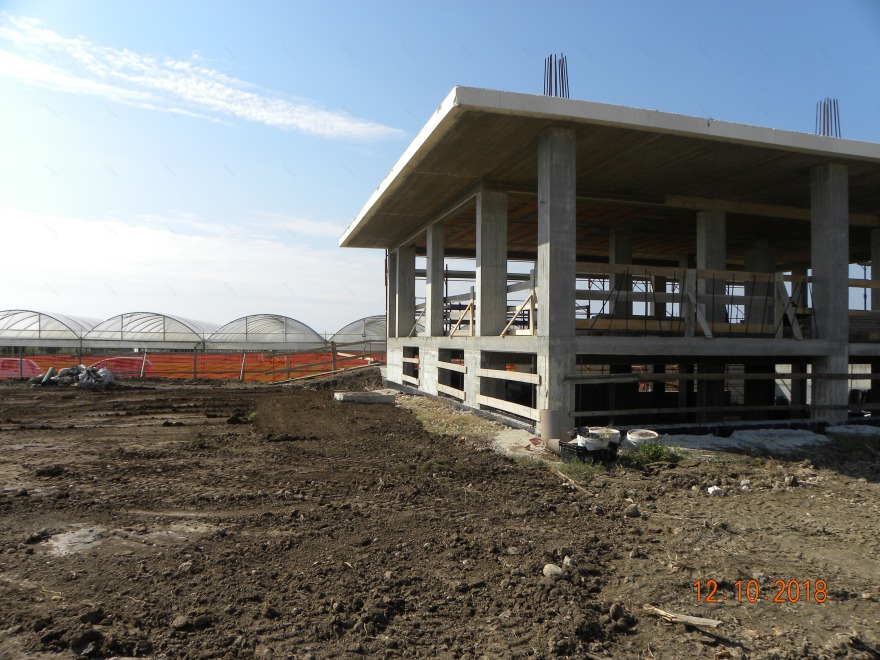 农田中建起的现代农庄-1