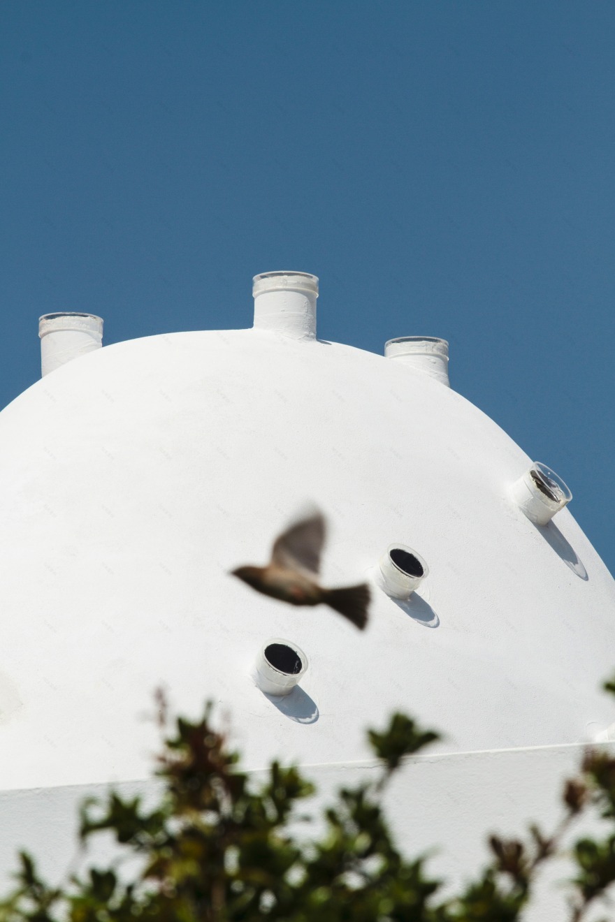 葡萄牙生态农场酒店“Companhia das Culturas”-9